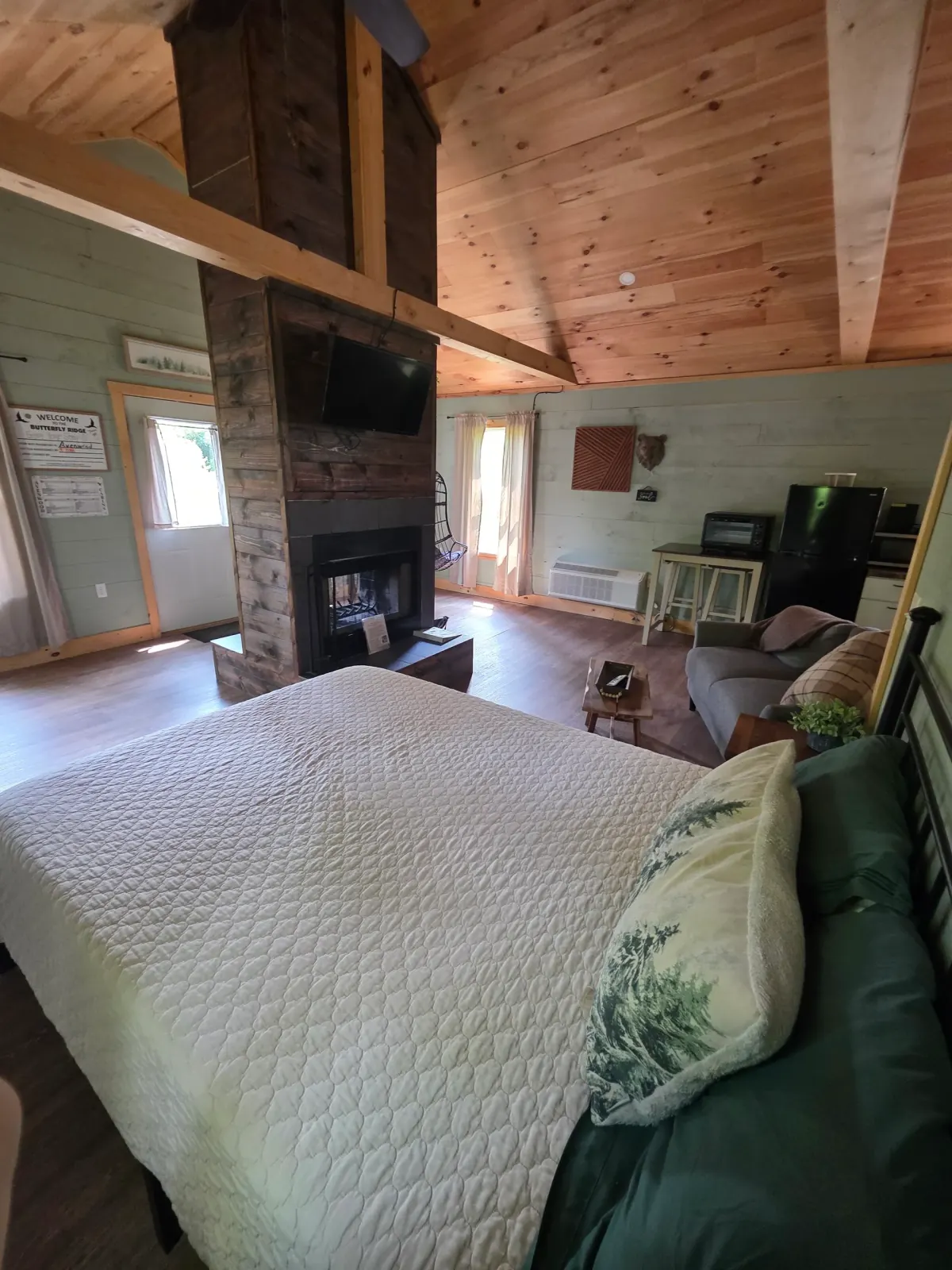 Cozy living room with gray sofa, side table, and patterned throw pillow at Butterfly Ridge cabin
