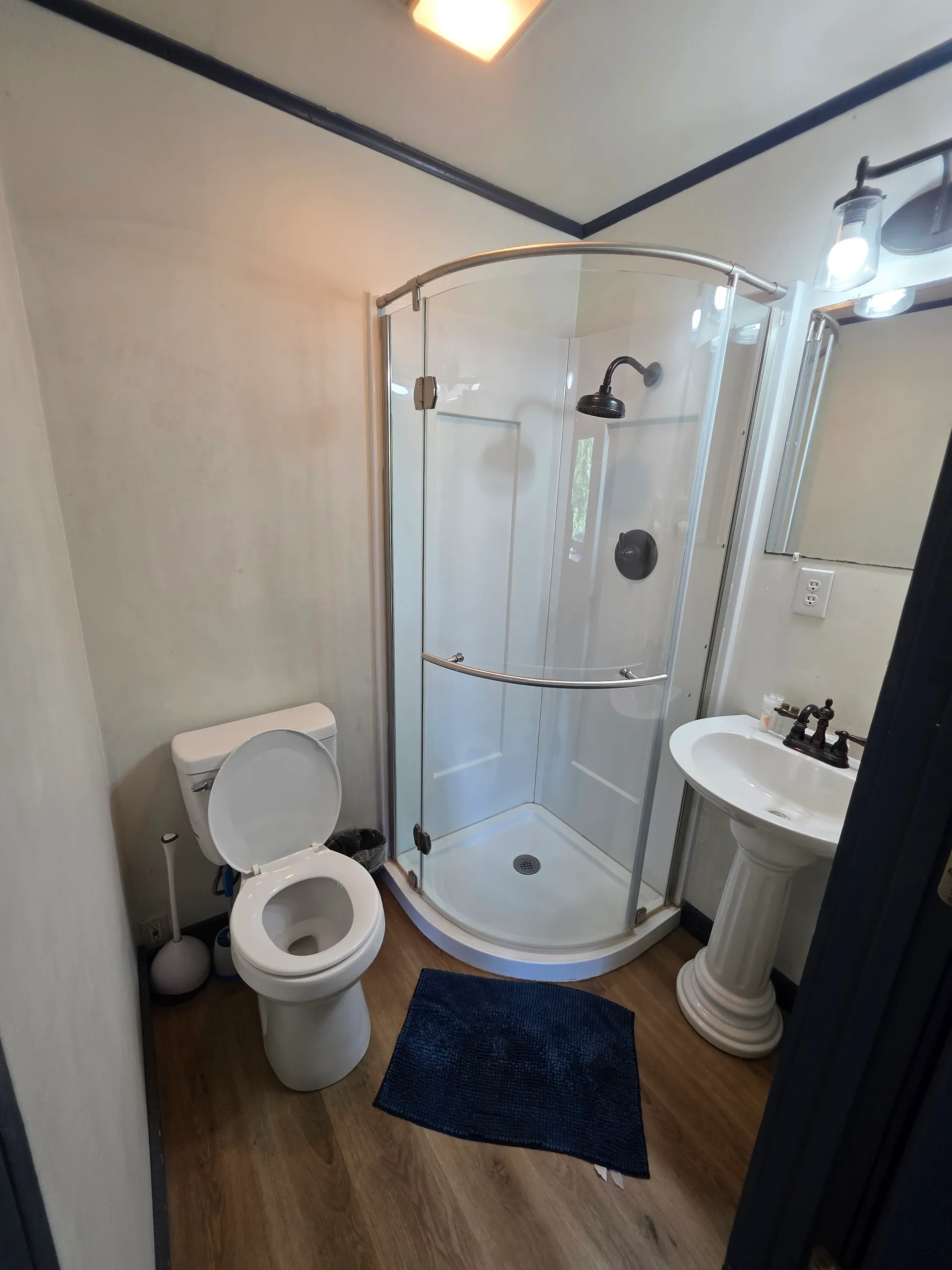 Eagles Nest cabin bathroom with glass-enclosed shower, pedestal sink, and toilet
