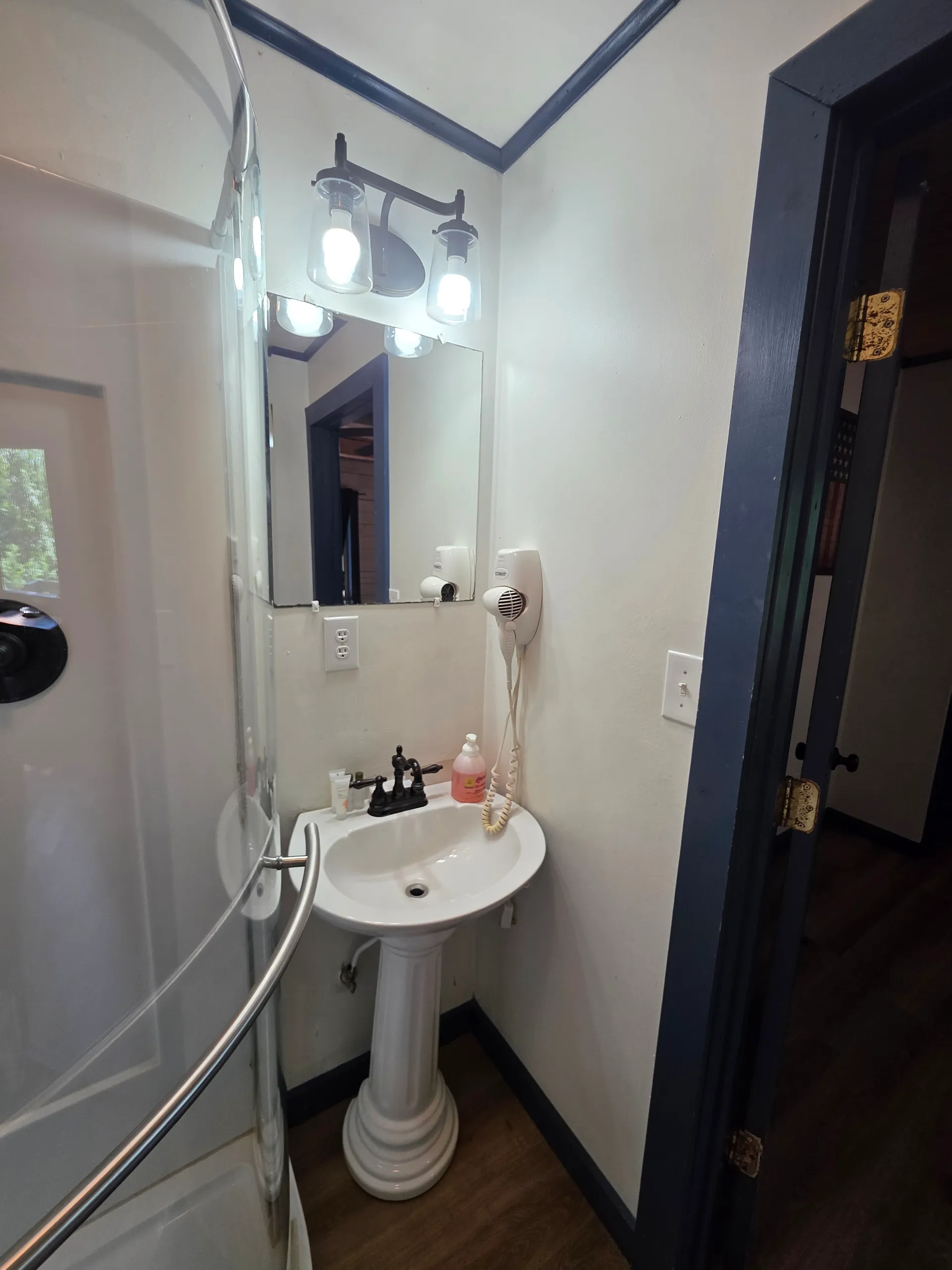 Eagles Nest cabin bathroom vanity with mirror, pedestal sink, and lighting fixtures
