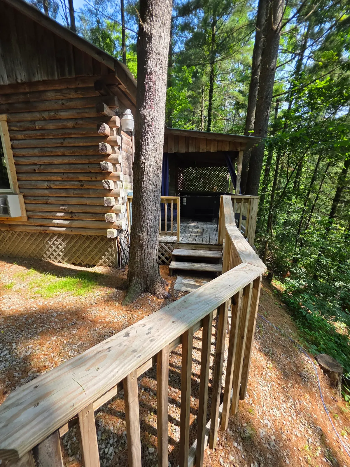 Eagles Nest cabin wooden deck and covered entrance nestled among tall trees