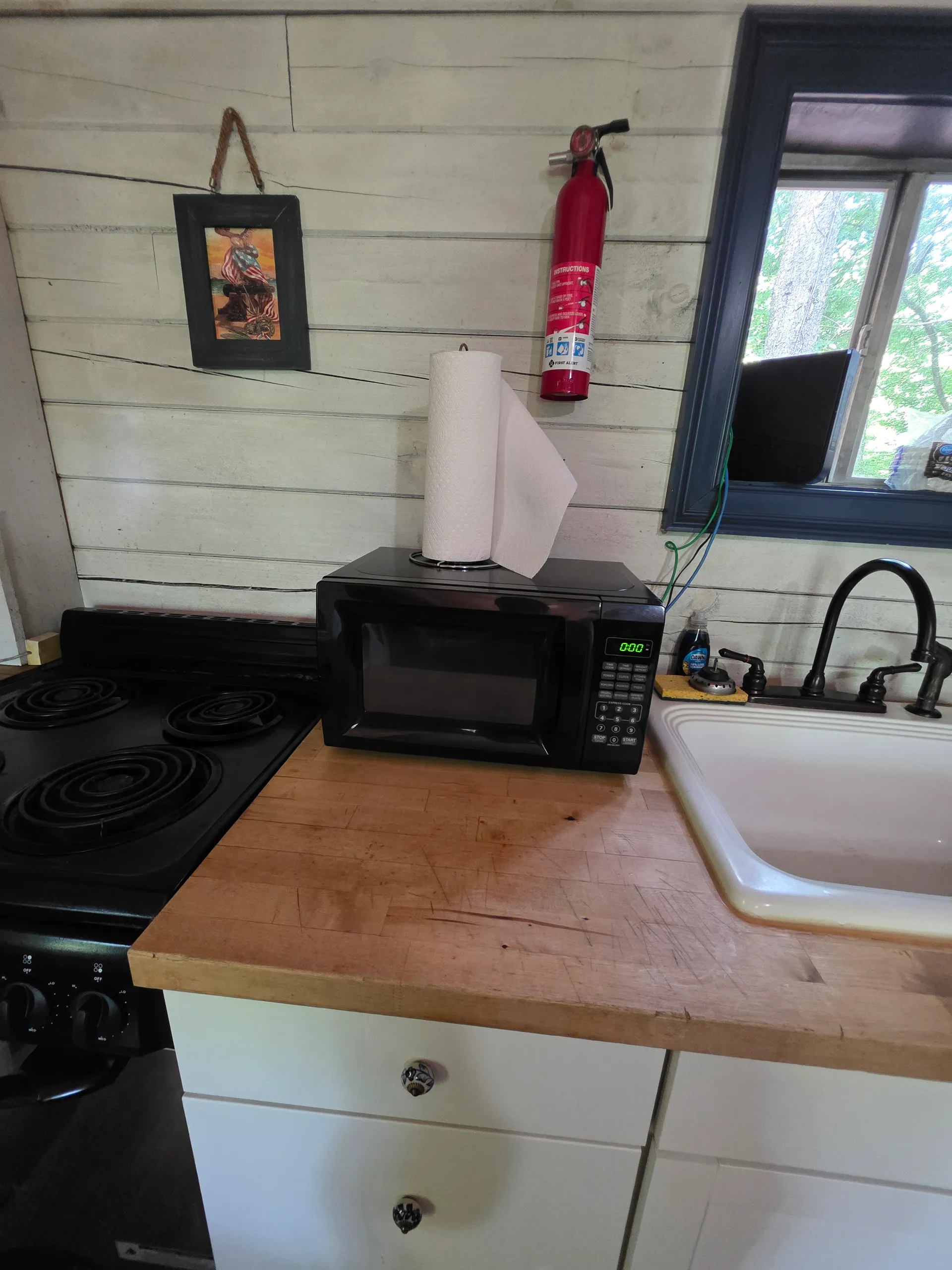 Eagles Nest cabin kitchen counter with microwave, stove, and sink by window