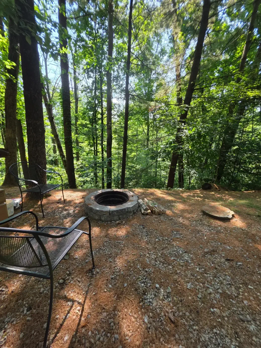Outdoor fire pit area surrounded by towering trees at Eagles Nest cabin in Hocking Hills