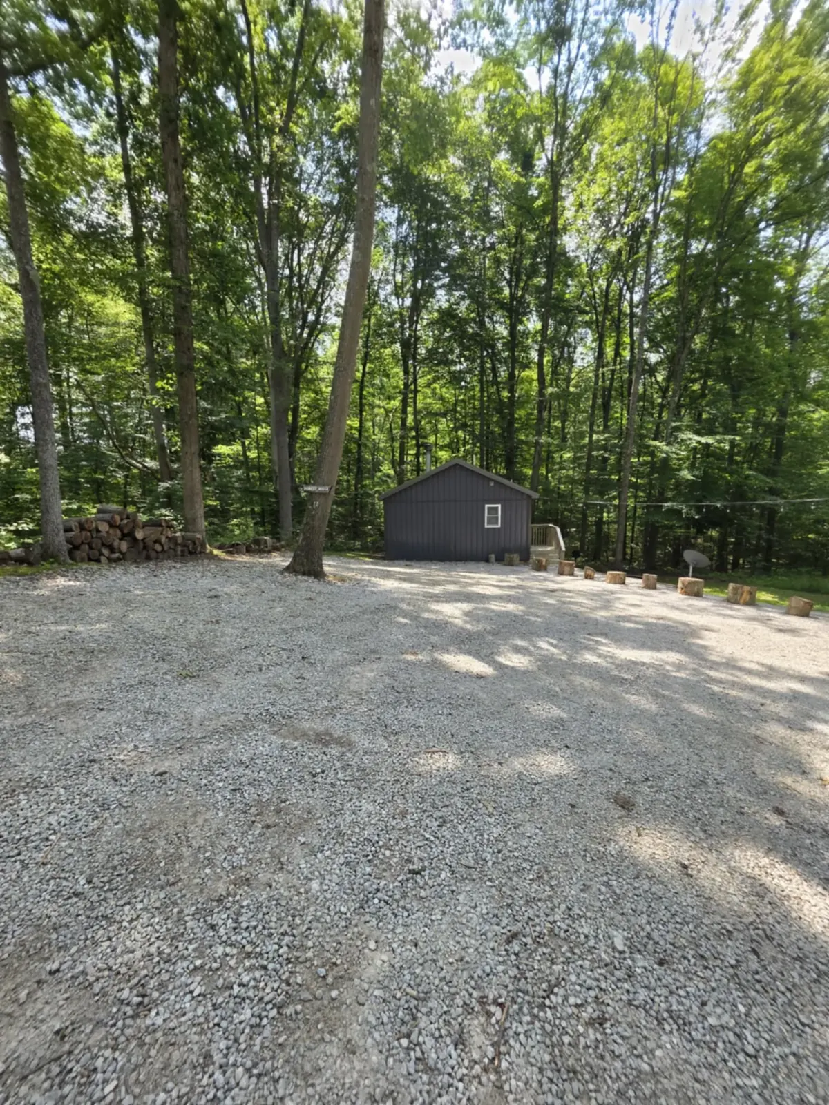 Forest Aisle cabin seen from the gravel driveway with log stumps and green forest