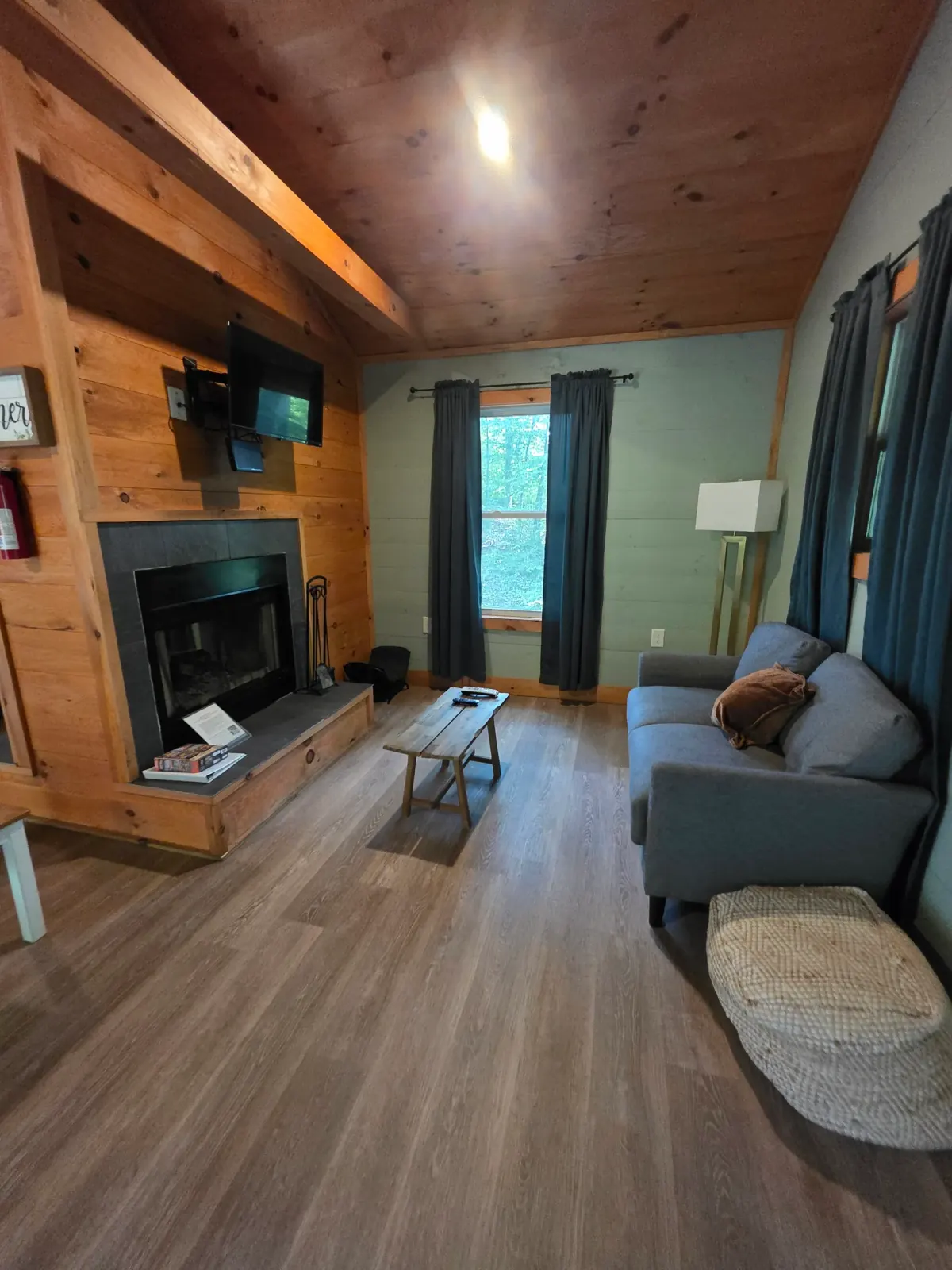 Living room with fireplace, sofa, and floor lamp at Forest Aisle cabin