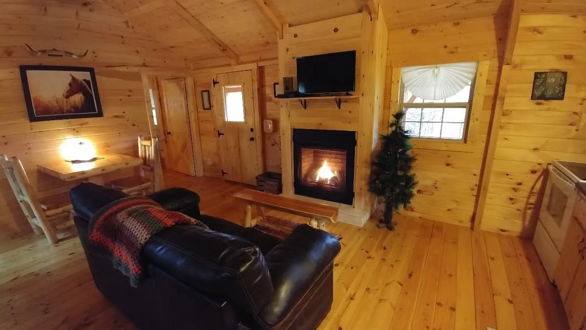 Cozy living room with roaring fireplace, leather sofa, and TV at Millers Den cabin