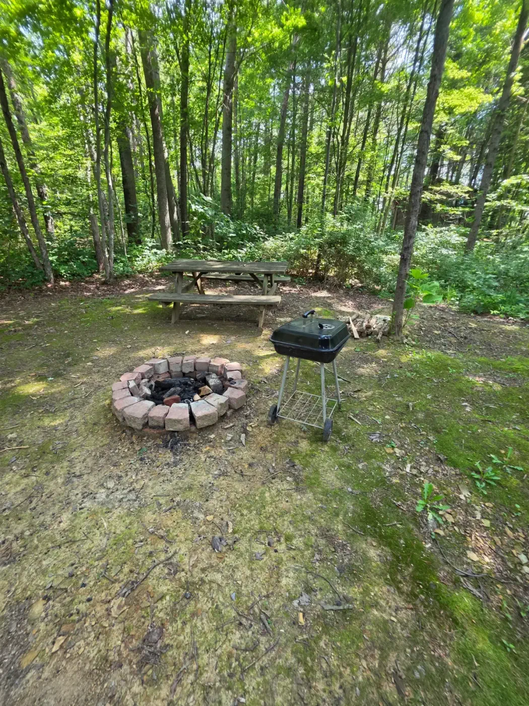 Stone fire pit and outdoor grill area in the wooded yard at Millers Den cabin