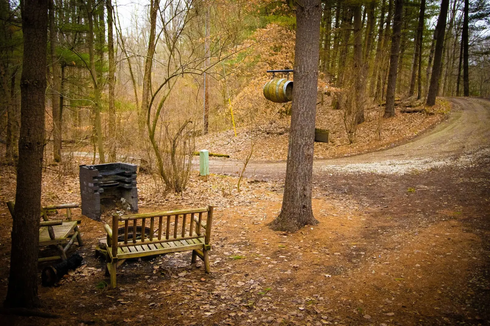 Autumn view of gravel driveway with bench, charcoal grill, and barrel mailbox near Moonshiner cabin