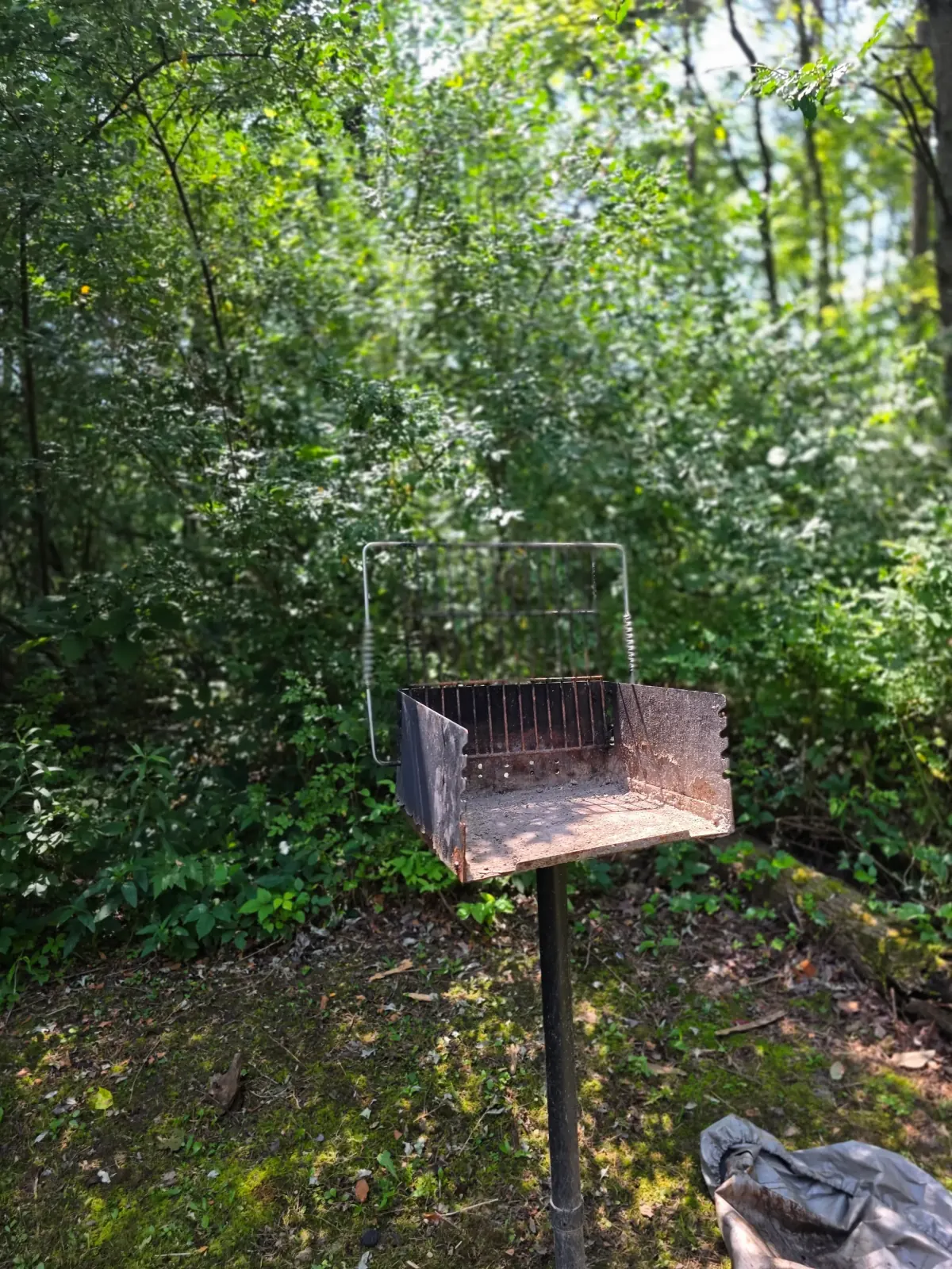 Charcoal grill station in the shaded yard at Settlers Roost cabin surrounded by lush forest