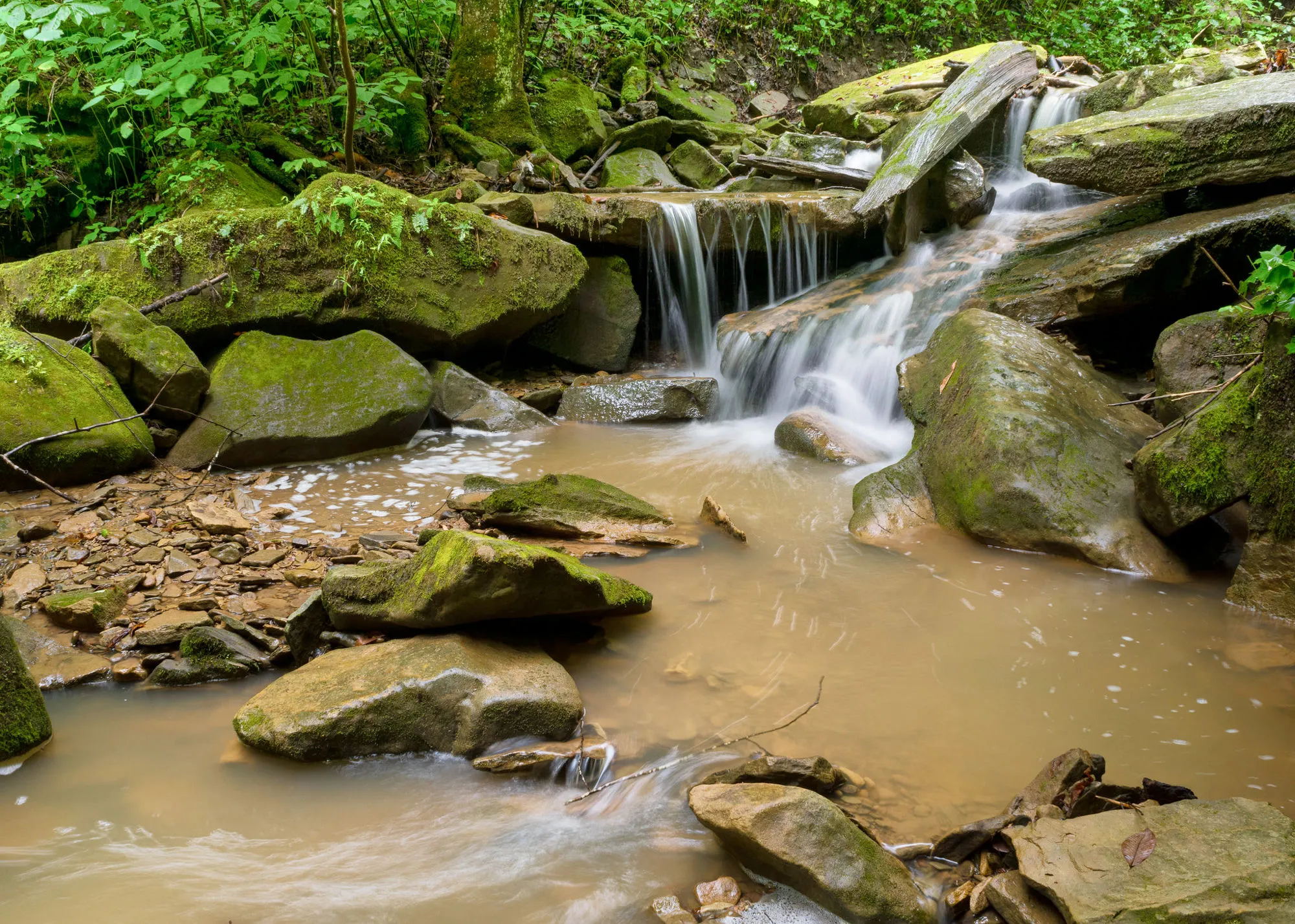 North Country National Scenic Trail in Hocking Hills